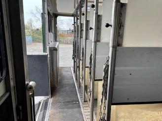 Mercedes Atego 1828L Pferdetransport 8 Pferde / Living picture 21