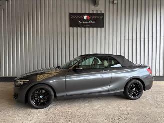 begagnad bil auto BMW 2-serie 0d Advantage Cabriolet LED / Navigation 2018/9
