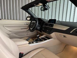BMW 2-serie 0d Advantage Cabriolet LED / Navigation picture 15