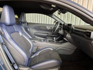 Ford Mustang Fastback 5.0 Ti-VCT V8 334 kW Dark Horse picture 13