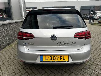 Volkswagen e-Golf E-Golf picture 6