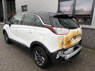 Opel Crossland X 1.2 120 Jaar Edition picture 19