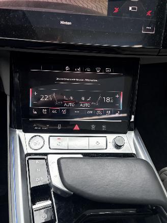 Audi E-tron 55 Quattro Advanced Pro Line Plus 95kWh picture 53