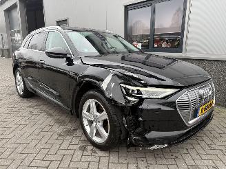 Coche accidentado Audi E-tron 55 Quattro Advanced Pro Line Plus 95kWh 2019/9