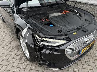 Audi E-tron 55 Quattro Advanced Pro Line Plus 95kWh picture 24