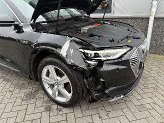 Audi E-tron 55 Quattro Advanced Pro Line Plus 95kWh picture 22