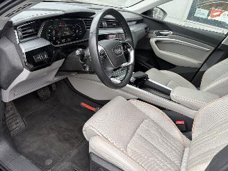 Audi E-tron 55 Quattro Advanced Pro Line Plus 95kWh picture 42