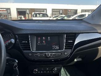 Opel Crossland 1.2 120 Jaar Edition picture 24