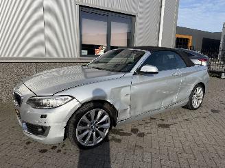 BMW 2-serie 230i Executive Cabrio picture 8