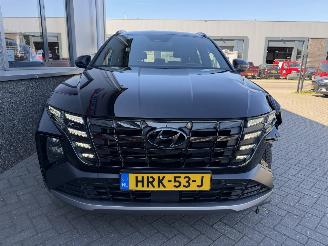 Hyundai Tucson 1.6 T-GDI PHEV Premium 4WD N-Line picture 18