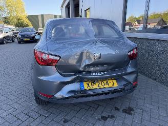 Seat Ibiza 1.4 COPA Plus picture 16