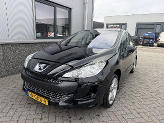 Peugeot 308 1.6 VTi XT picture 29