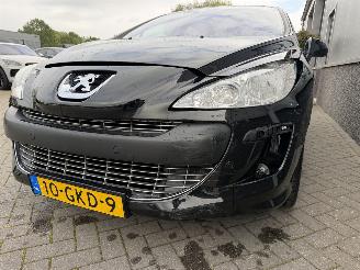 Peugeot 308 1.6 VTi XT picture 19