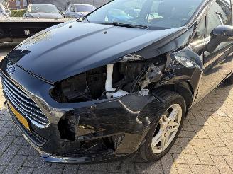 Ford Fiesta 1.0 EcoBoost Titanium 7-XPH-04. picture 12