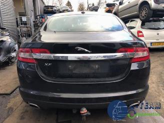 Coche siniestrado Jaguar XF XF (CC9), Sedan, 2008 / 2015 3.0 D V6 24V 2010/8