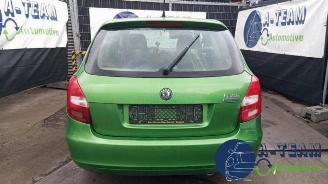 Sloopauto Skoda Fabia Fabia II Combi, Combi 5-drs, 2007 / 2015 1.2 TDI 12V Greenline 2010/10