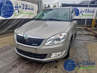 Sloopauto Skoda Fabia Fabia II Combi, Combi 5-drs, 2007 / 2015 1.2 TDI 12V Greenline 2011/4