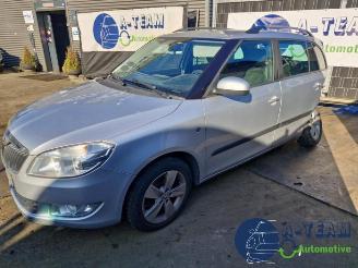 Skoda Fabia Fabia II Combi, Combi 5-drs, 2007 / 2014 1.2 TSI picture 6