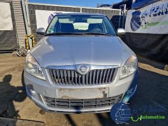 Skoda Fabia Fabia II Combi, Combi 5-drs, 2007 / 2014 1.2 TSI picture 2