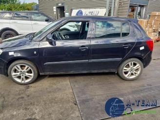 Skoda Fabia Fabia II (5J), Hatchback 5-drs, 2006 / 2014 1.6i 16V picture 6