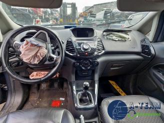 Ford EcoSport EcoSport (JK8), SUV, 2013 1.0 EcoBoost 12V 125 picture 19