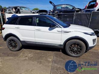 Land Rover Range Rover Range Rover Evoque (LVJ/LVS), SUV, 2011 / 2019 2.0 eD 150 16V 5-drs. picture 15