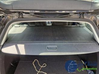 Volkswagen Golf Golf VII Variant (AUVV), Combi, 2013 / 2021 1.6 TDI BlueMotion 16V picture 35