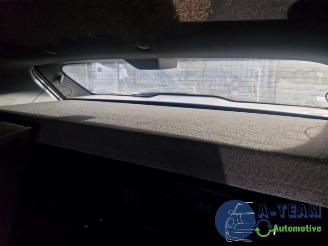 Renault Mégane E-Tech Megane E-Tech (RCB), SUV, 2021 EV60 picture 33