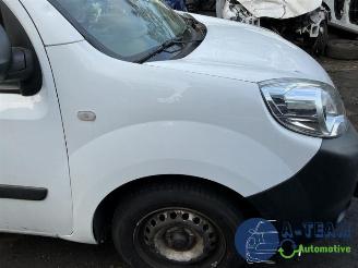 Renault Kangoo Kangoo Express (FW), Van, 2008 1.5 dCi 75 FAP picture 26