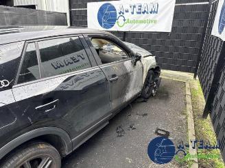 Audi Q2 Q2 (GAB/GAG), SUV, 2016 1.6 30 TDI 16V picture 4