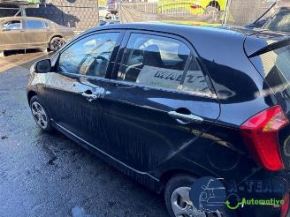 Kia Picanto Picanto (TA), Hatchback, 2011 / 2017 1.0 12V picture 5