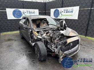 disassembly passenger cars Jaguar F-Pace F-Pace, SUV, 2015 / 2025 2.0 D 180 16V AWD 2018/1