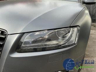 Audi 50 A5 Sportback (8TA), Liftback, 2009 / 2017 2.0 TDI 16V picture 20