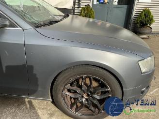 Audi 50 A5 Sportback (8TA), Liftback, 2009 / 2017 2.0 TDI 16V picture 25