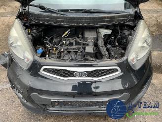 Kia Picanto Picanto (TA), Hatchback, 2011 / 2017 1.0 12V picture 28