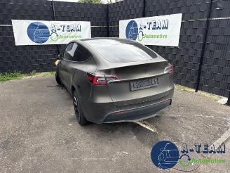 Uttjänta bilar auto Tesla Model Y Model Y (5YJY), SUV, 2019 / 2025 Long Range,Performance 2023/8