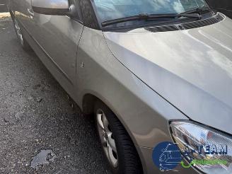 Skoda Fabia Fabia II Combi, Combi 5-drs, 2007 / 2014 1.2 TDI 12V Greenline picture 32
