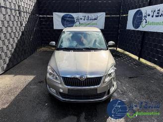 Skoda Fabia Fabia II Combi, Combi 5-drs, 2007 / 2014 1.2 TDI 12V Greenline picture 2