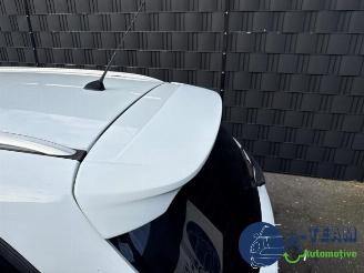 Ford Focus Focus 3 Wagon, Combi, 2010 / 2020 1.0 Ti-VCT EcoBoost 12V 125 picture 32