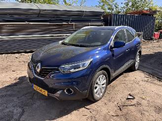 uszkodzony samochody osobowe Renault Kadjar 1.2 TCE Auomaat no damage 2017/1