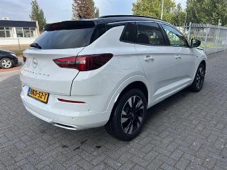Opel Grandland 1.2 Turbo Level 3 picture 11