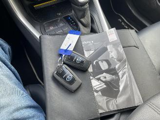Toyota Rav-4 2.5 Hybrid Bi-Tone picture 22