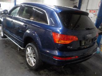 Audi Q7 Q7 (4LB) SUV 3.0 TDI V6 24V (BUG) [171kW]  (03-2006/05-2008) picture 3