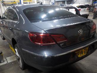 Volkswagen Passat Passat (362) Sedan 2.0 TDI 16V 140 (CFFB) [103kW]  (08-2010/12-2014) picture 4