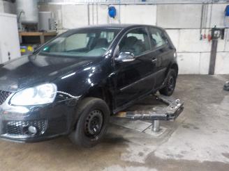 Sloopauto Volkswagen Golf Golf V (1K1) Hatchback 1.4 16V (BCA) [55kW]  (10-2003/05-2006) 2004