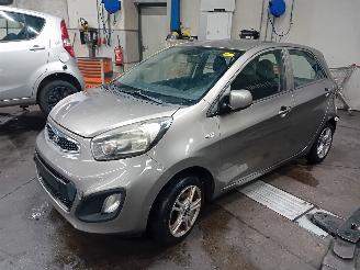 Sloopauto Kia Picanto Picanto (TA) Hatchback 1.0 12V (G3LA) [51kW]  (05-2011/06-2017) 2013
