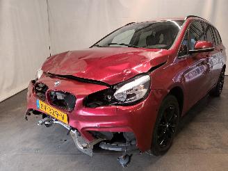 škoda osobní automobily BMW 2-serie 2 serie Gran Tourer (F46) MPV 216d 1.5 TwinPower Turbo 12V (B37-C15A) =
[85kW]  (03-2015/...) 2016/1