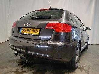 Audi A3 A3 Sportback (8PA) Hatchback 5-drs 1.6 (BGU) [75kW]  (09-2004/03-2013)= picture 5
