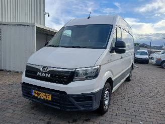 uszkodzony samochody osobowe   TGE Van 2.0 TDI (DAUA) [103kW]  (02-2017/...) 2019/1