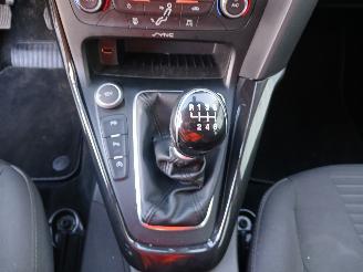 Ford Focus Focus 3 Hatchback 1.0 Ti-VCT EcoBoost 12V 125 (M1DA(Euro 5)) [92kW]  (=
02-2012/05-2018) picture 18